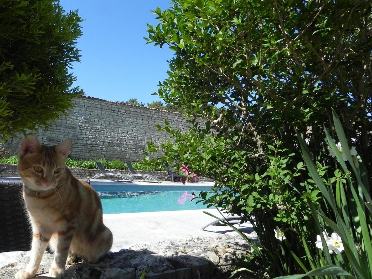 Villa Del Re 10 La Flotte Luaran gambar